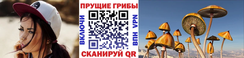 Галлюциногенные грибы мухоморы Электроугли